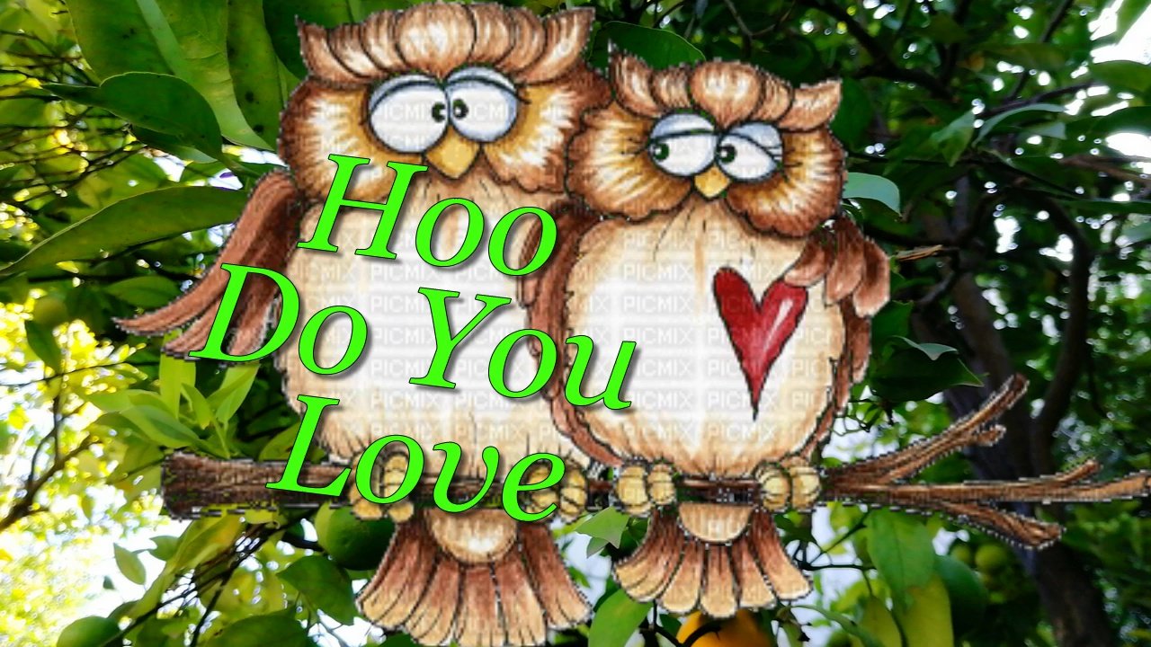 Hoo Do You Love